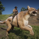 Image for article titled This Red Dead Redemption II Mod Lets You Ride A Giant Cougar